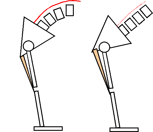 ハムストリングス柔軟性の違いによる腰部への差